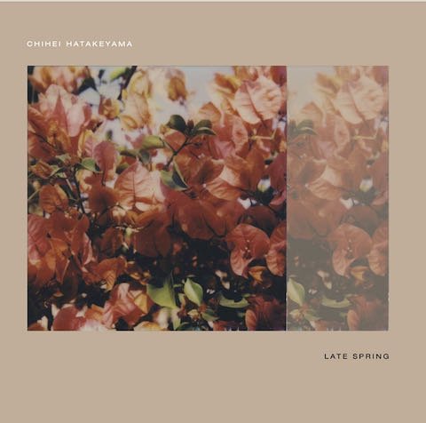 Chihei Hatakeyama - Late Spring (LP)