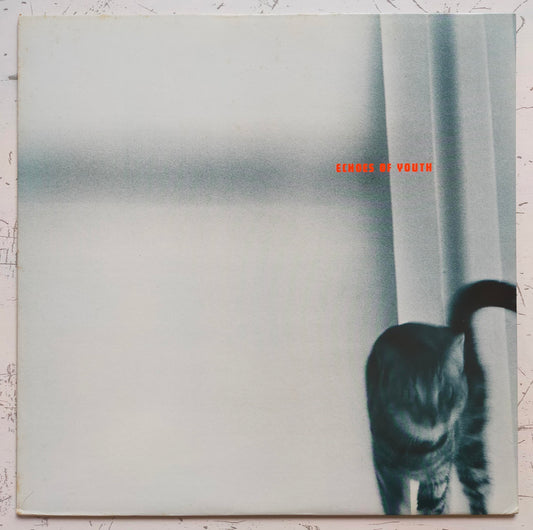 Various - Echoes Of Youth (LP)