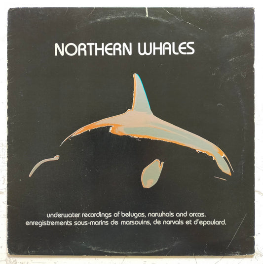 No Artist – Northern Whales (LP)