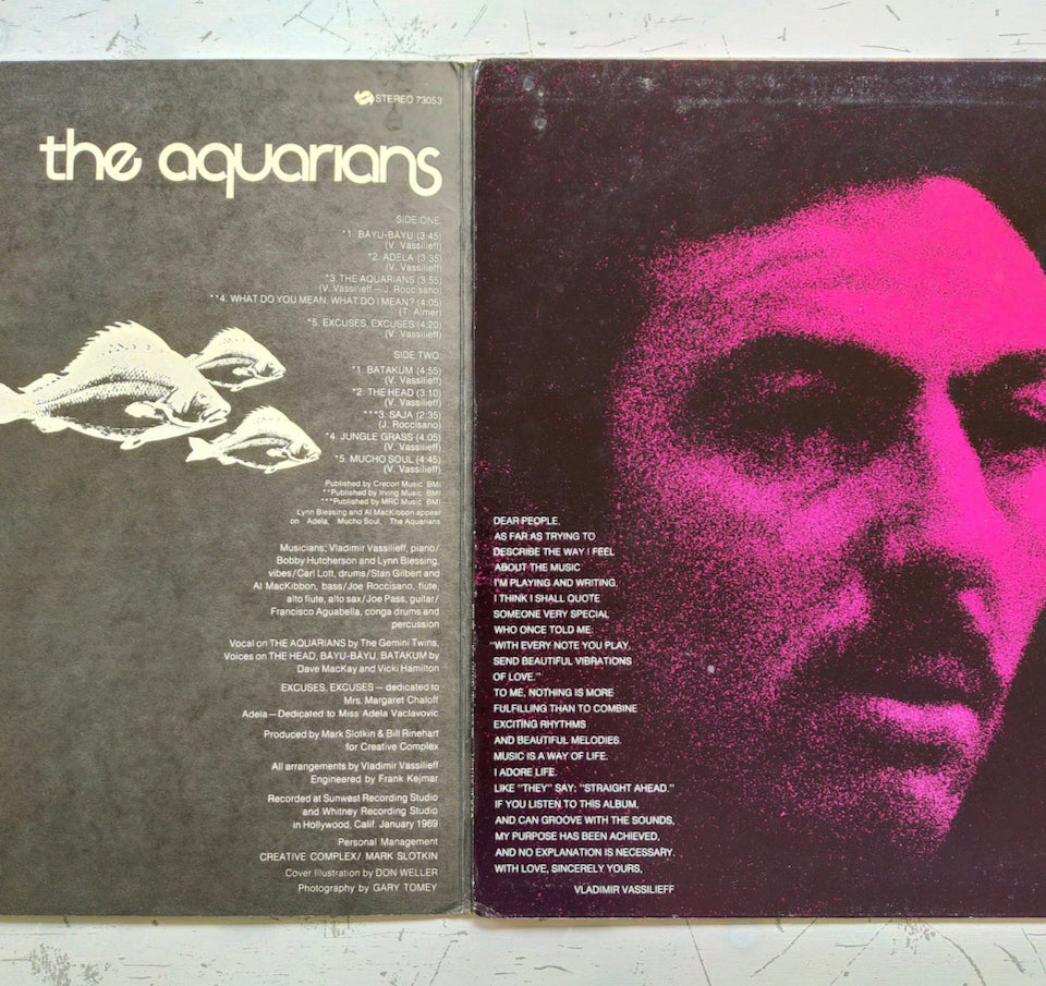 The Aquarians – Jungle Grass (LP)