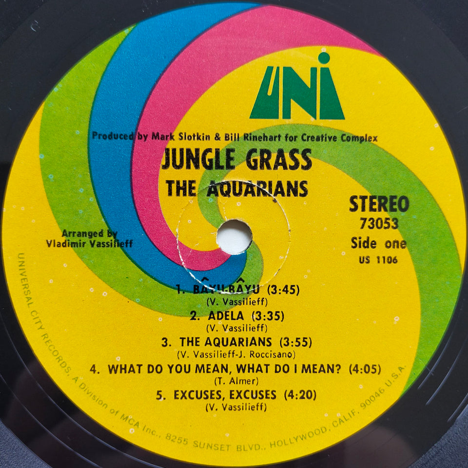 The Aquarians – Jungle Grass (LP)
