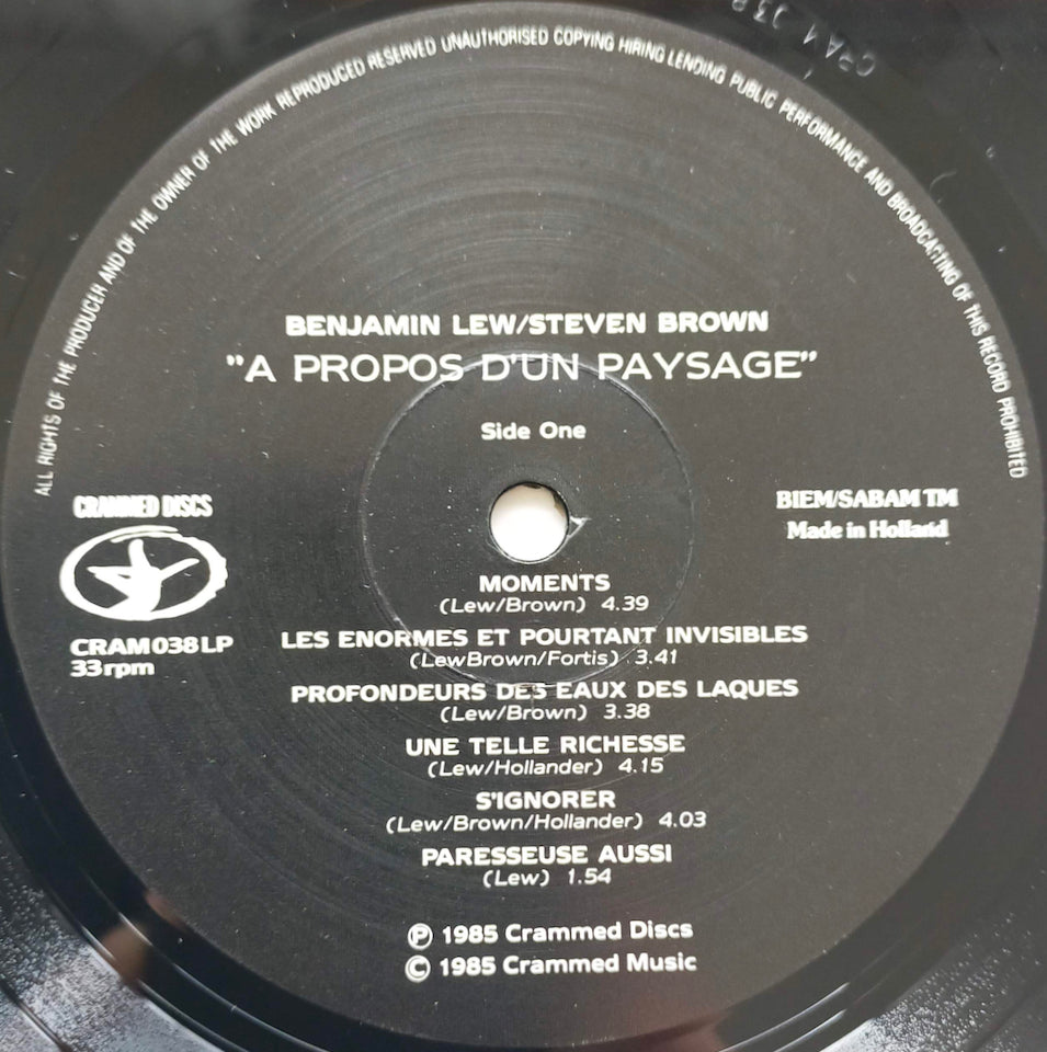 Benjamin Lew / Steven Brown - A Propos D'Un Paysage (LP)