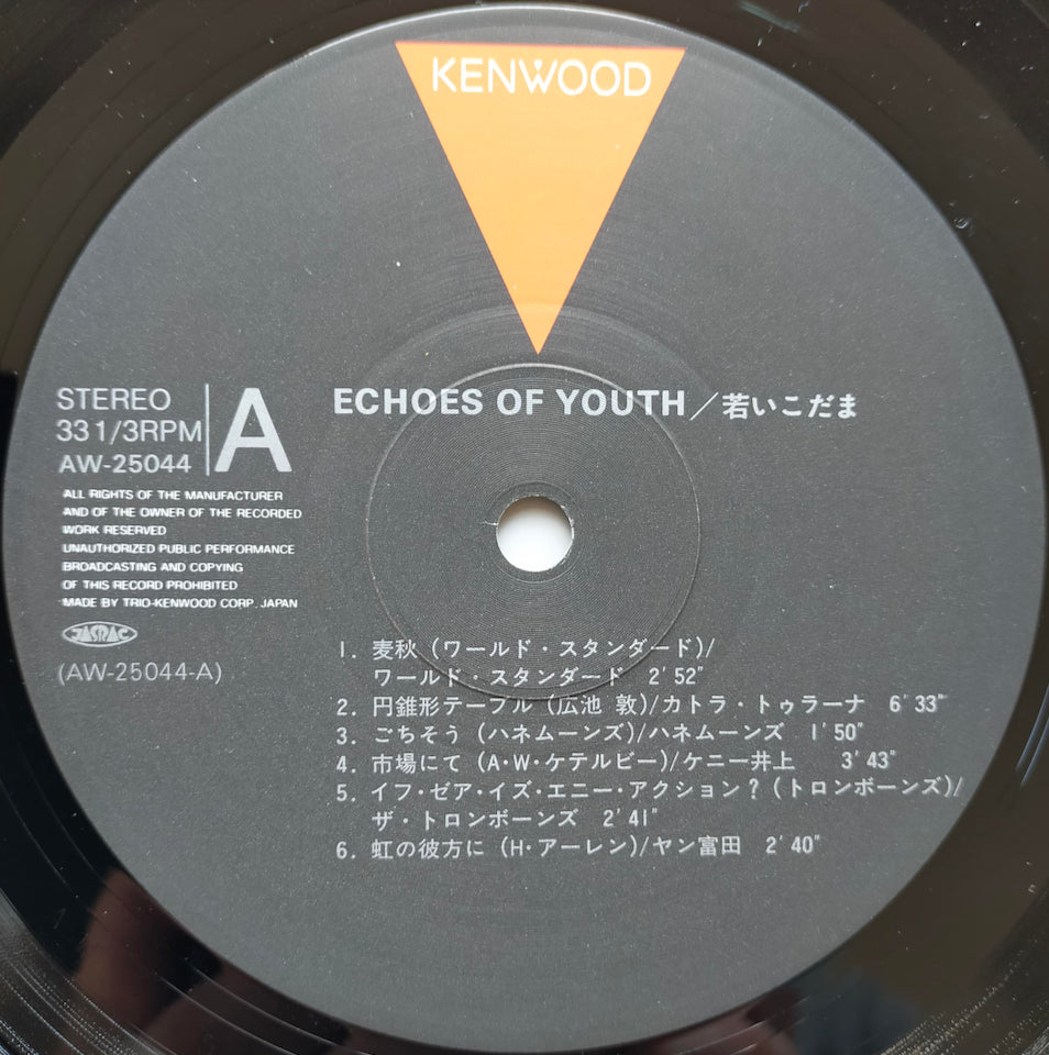 Various - Echoes Of Youth (LP)